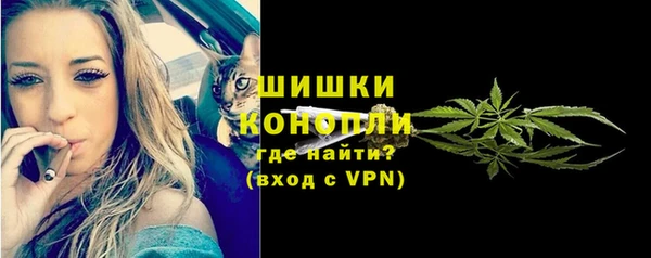 ПСИЛОЦИБИНОВЫЕ ГРИБЫ Арсеньев