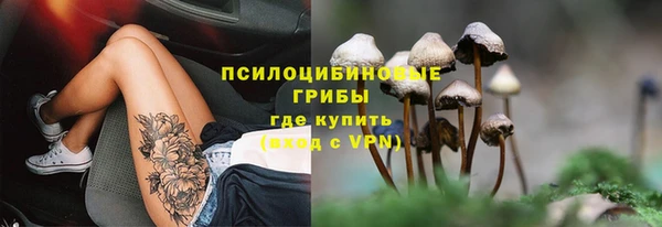 ПСИЛОЦИБИНОВЫЕ ГРИБЫ Арсеньев