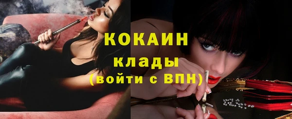ПСИЛОЦИБИНОВЫЕ ГРИБЫ Арсеньев