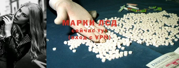ПСИЛОЦИБИНОВЫЕ ГРИБЫ Арсеньев