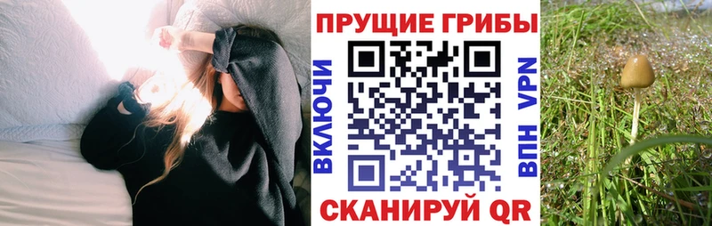 Псилоцибиновые грибы мухоморы  Рузаевка 